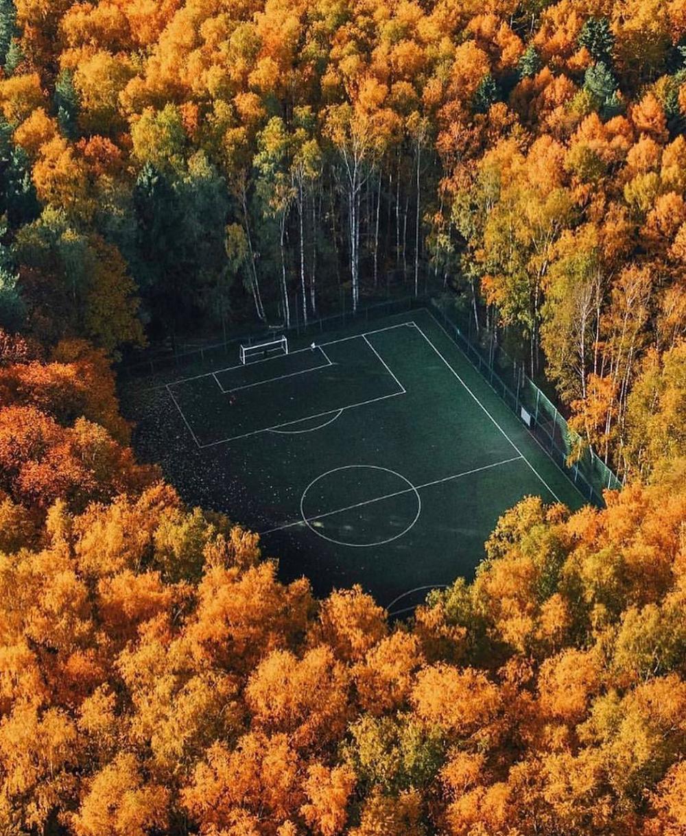 Field in Moscow, Russia