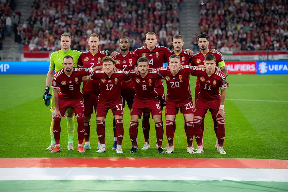 Hungary national team on the pitch